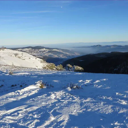 Petit Papillon Soultzeren